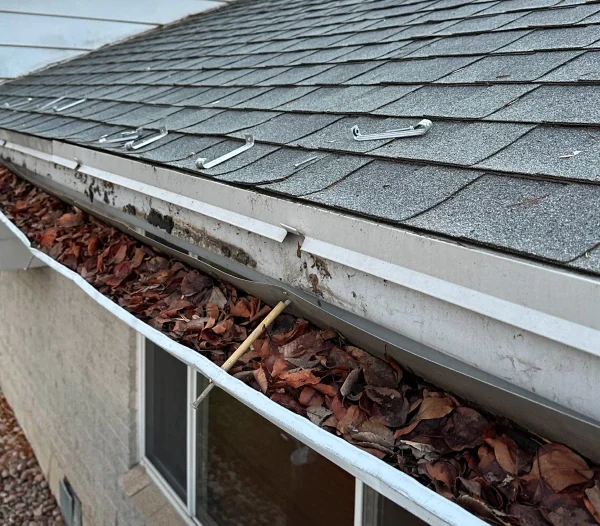 Gallery 11.20.2024 2