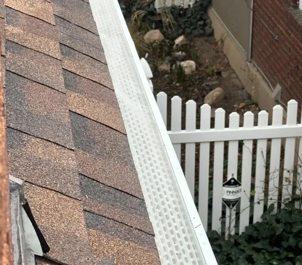 Gallery 11.20.2024 3