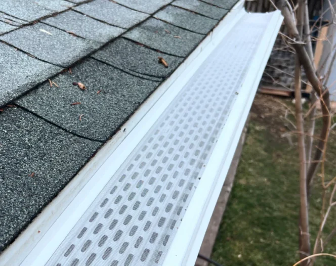 Gallery 11.20.2024 5